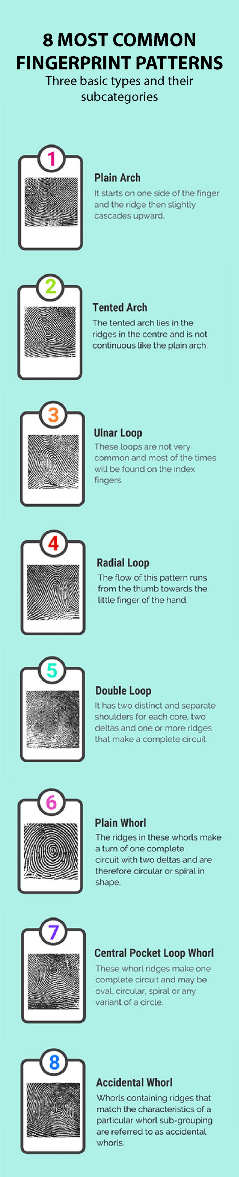 Fingerprints From Womb to Biometric Scanner ClockedIn